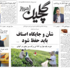 دوشنبه ۱۶ آبان ۱۴۰۱